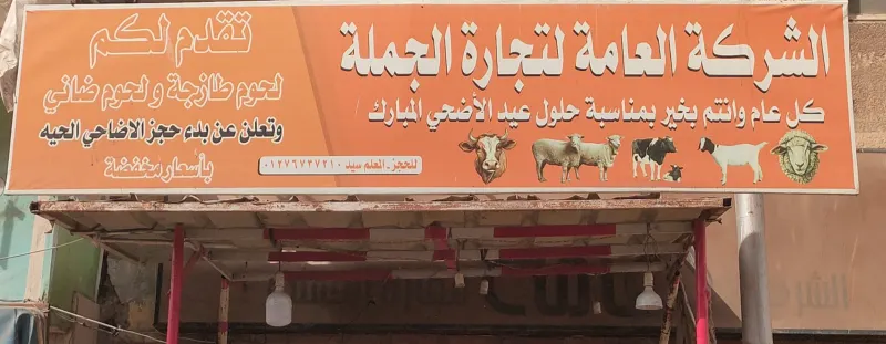 الشركة العامه لتجاره الجمله
